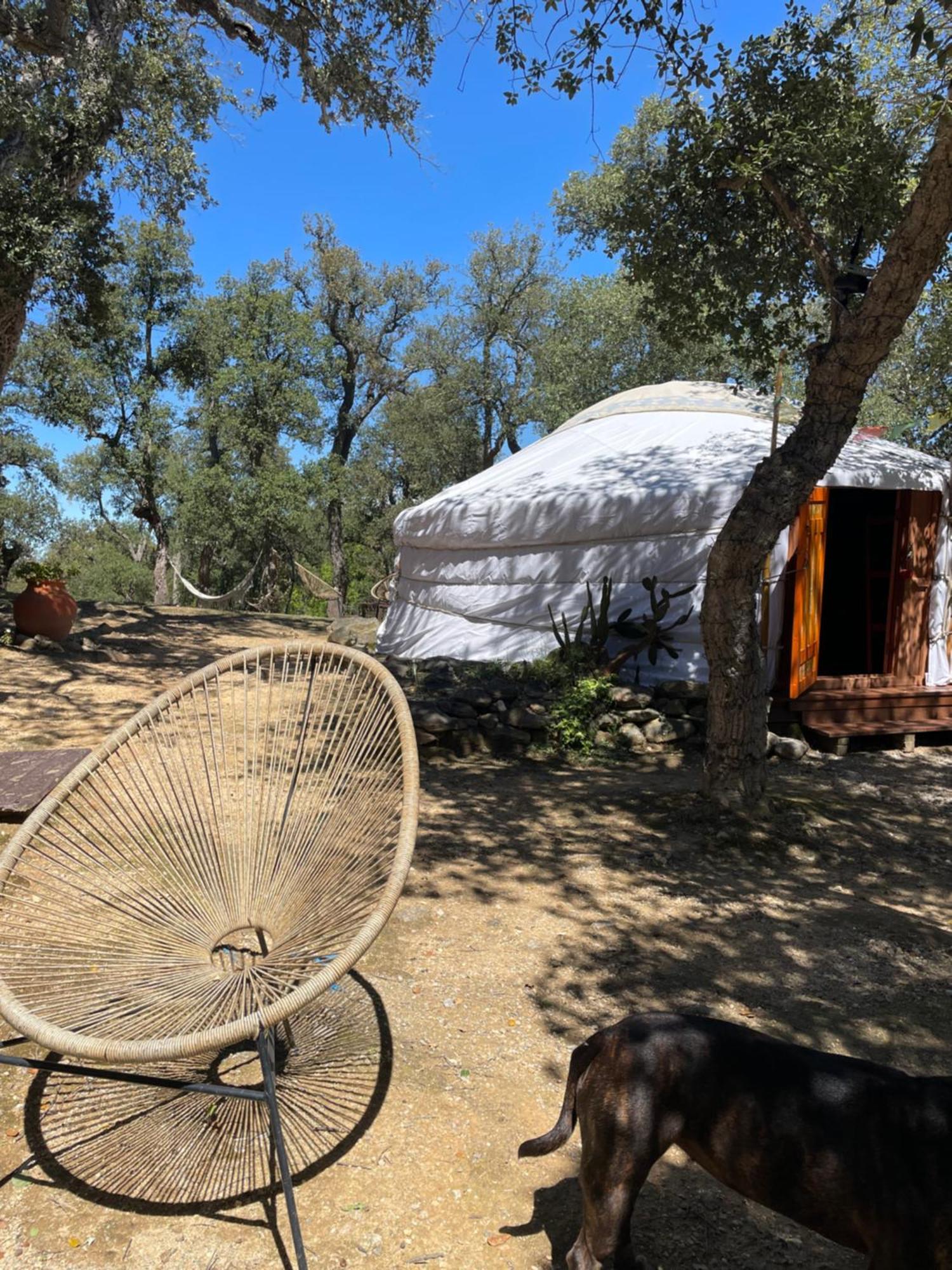 Bed and Breakfast Au Soleil Mongol Соред Екстер'єр фото
